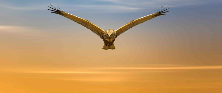 DIE ZWEIFLÜGELKIRCHE DIE ZWEIFLÜGELKIRCHE