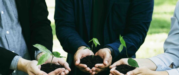 Die Kraft der kleinen Zahl Die Kraft der kleinen Zahl
